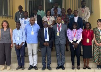 Journée mondiale de l’éléphant : de nouvelles méthodes écologiques pour éloigner les pachydermes des plantations