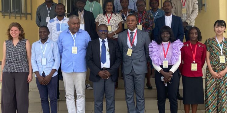 Journée mondiale de l’éléphant : de nouvelles méthodes écologiques pour éloigner les pachydermes des plantations