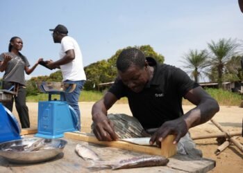 Ogooué et Lacs : des pêcheurs outillés à la gestion durable des stocks halieutiques