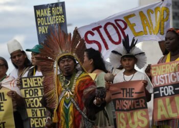 Communiqué de presse : l’inclusion des OSCs du sud pour parler d’une seule voix lors de la COP30