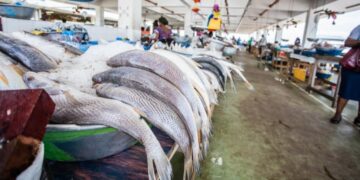 Au Gabon, trois ports de pêche pour structurer le secteur de la pêche