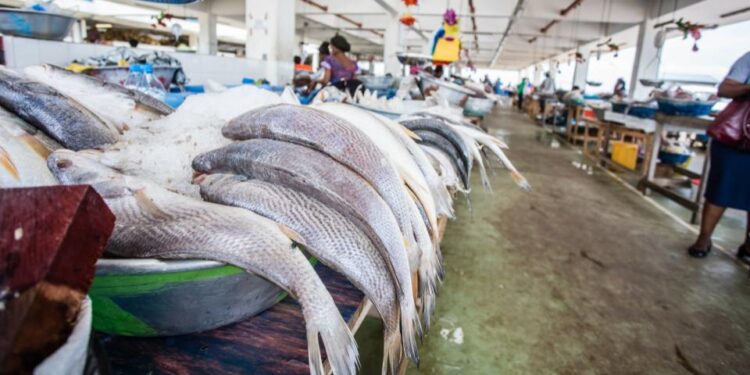 Au Gabon, trois ports de pêche pour structurer le secteur de la pêche
