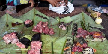 PFNL : Libreville se prépare à accueillir le premier atelier de découpe de viande de brousse