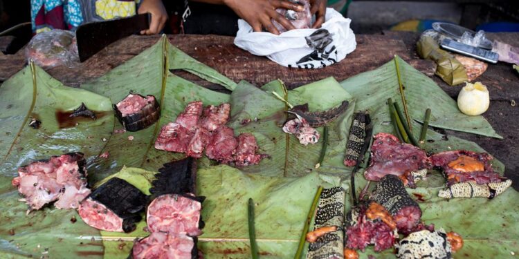 PFNL : Libreville se prépare à accueillir le premier atelier de découpe de viande de brousse