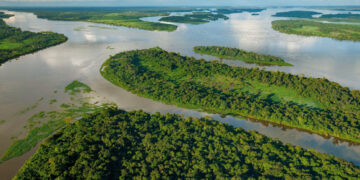 Bassin du Congo : un réservoir de contraste entre conservation et services écosystémiques