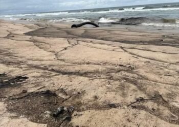 Pollution à Mayumba : les intérêts économiques mieux importants que la santé de l’océan ?