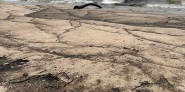 Pollution à Mayumba : les intérêts économiques mieux importants que la santé de l’océan ?