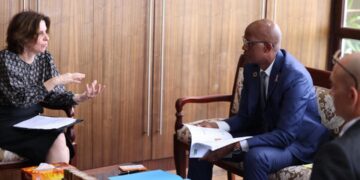 Forêt-bois : le Gabon et l’Union européenne consolident leur partenariat pour relancer la filière