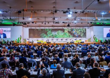 COP30 à Belém : quels enjeux pour le Gabon ?