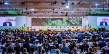 COP30 à Belém : quels enjeux pour le Gabon ?