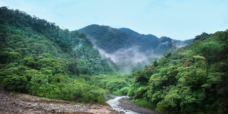 Hydrographie : le bassin du Congo moteur des précipitations en Afrique