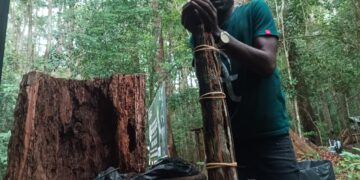 ANPN : encre et salive autour de la procédure de licenciement de Crépin Madzoukou, Eco-Guide de l’ARW