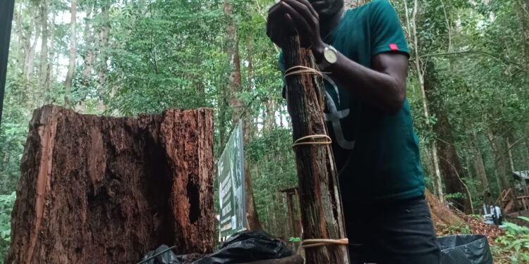 ANPN : encre et salive autour de la procédure de licenciement de Crépin Madzoukou, Eco-Guide de l’ARW