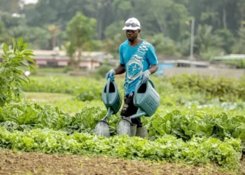Prévisions : sans adaptation aux changements climatiques, les moyens de subsistance des populations rurales menacés