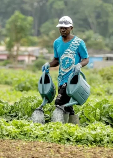 Prévisions : sans adaptation aux changements climatiques, les moyens de subsistance des populations rurales menacés