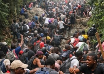 Ecotourisme : Rémy Nkombe dénonce le désordre écologique occasionné par une randonnée à risque au Cap