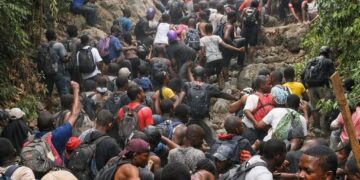 Ecotourisme : Rémy Nkombe dénonce le désordre écologique occasionné par une randonnée à risque au Cap