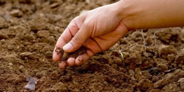 Conservation : les journalistes membres du REMAPSEN édifiés sur le rôle stratégique des sols