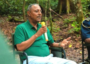 Pascal Ogowet Siffon, les prémices d’une arrestation prévisible