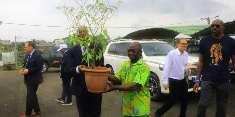 Valorisation de l’Iboga : l’aboutissement d’un engagement visionnaire de Paul Biyoghe Mba