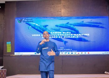 Gabon-Bleu : 13 ans après, l&rsquo;urgente nécessité de consolider les acquis