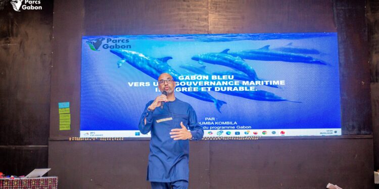 Gabon-Bleu : 13 ans après, l&rsquo;urgente nécessité de consolider les acquis
