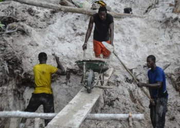 Entre économie informelle et désastre écologique, l’orpaillage illégal défie l’État gabonais
