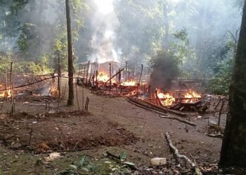 Trafic minier au Gabon : 16 orpailleurs illégaux dans le filet de l’ANPN, inquiétude grandissante sur l’existence des réseaux transfrontaliers