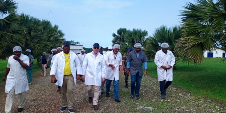 Aviculture durable : face au défi de la souveraineté alimentaire, Pacôme Kossy à l’écoute des fermiers à Kango