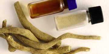 Ibogaïne : entre espoir thérapeutique et rigueur du suivi des protocoles cliniques