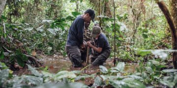 Bassin du Congo : le Science Panel et l’ambition de former 1000 scientifiques titulaires d’un Doctorat