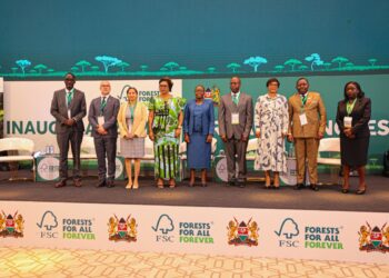 Bassin du Congo : le Gabon au cœur du projet Zámba Heritage pour une gestion durable des forêts