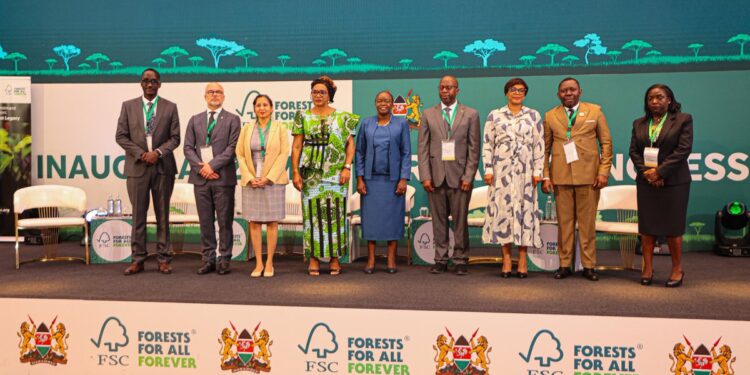 Bassin du Congo : le Gabon au cœur du projet Zámba Heritage pour une gestion durable des forêts