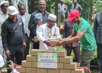 Verdissement urbain et sensibilisation : vision XXL pour l’Arboretum Raponda Walker au Gabon