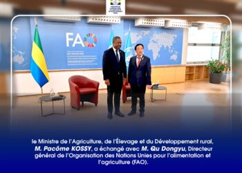 Coopération agricole : le Gabon renforce son partenariat avec la FAO pour accélérer sa souveraineté alimentaire