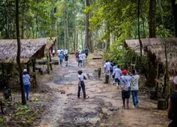 Écotourisme : le Gabon pose les bases d’un modèle durable et souverain