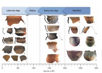 Afrique centrale : ce que révèle l’archéologie sur l’histoire humaine de la sous-région