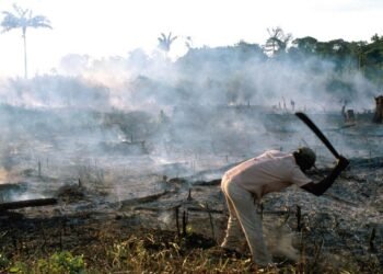 Séquestration de Carbone : non, l’agriculture n’est pas toujours néfaste pour l’équilibre écologique des écosystèmes !