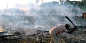 Séquestration de Carbone : non, l’agriculture n’est pas toujours néfaste pour l’équilibre écologique des écosystèmes !