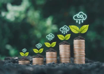 Crédit carbone : « Gabon Infini » face aux défis de l’histoire