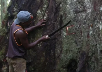 Conservation : la cartographie et le duel entre participation communautaire et fiction écologique