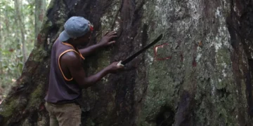 Conservation : la cartographie et le duel entre participation communautaire et fiction écologique