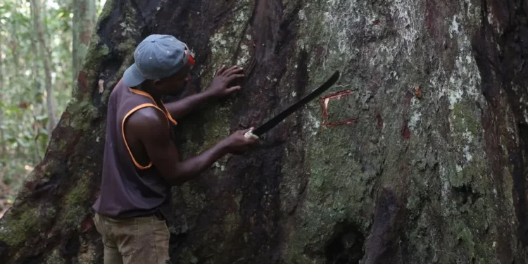 Conservation : la cartographie et le duel entre participation communautaire et fiction écologique