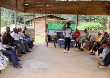 Suivi environnemental : les OSCs gabonaises appelées à se remettre en question