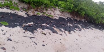 Pollution à Setté-Cama : curieux silence des autorités !