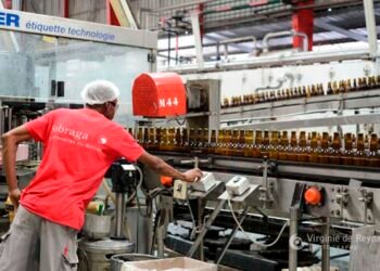 RSE: la Sobraga consolide son engagement environnemental sur fond de résilience écologique et industrielle   