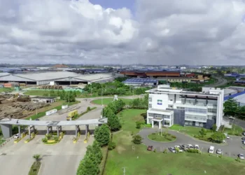 Filière forêt-bois : le Gabon peut-il convertir son capital naturel en moteur de croissance régionale ?