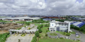 Filière forêt-bois : le Gabon peut-il convertir son capital naturel en moteur de croissance régionale ?