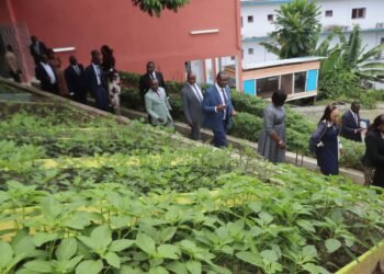 Métiers verts : sursaut des femmes pour l’éclosion des profils dans le domaine agricole