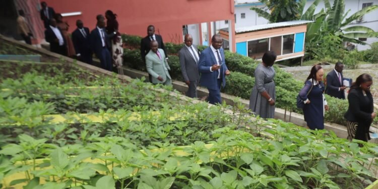 Métiers verts : sursaut des femmes pour l’éclosion des profils dans le domaine agricole
